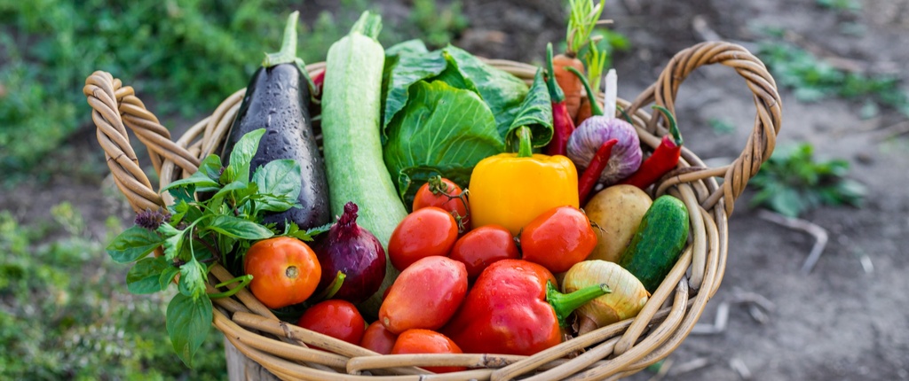 Helping a community garden take root in Gordon